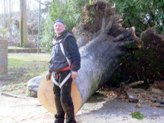 Dachdecker bei der Arbeit neues Bild Dachdecker umgestürzter Baum